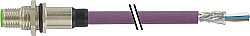 7000-14131-8410030 M12 male recept. B-cod. rear PUR 1x2xAWG24 shielded vt UL/CSA+drag ch. 0.3m