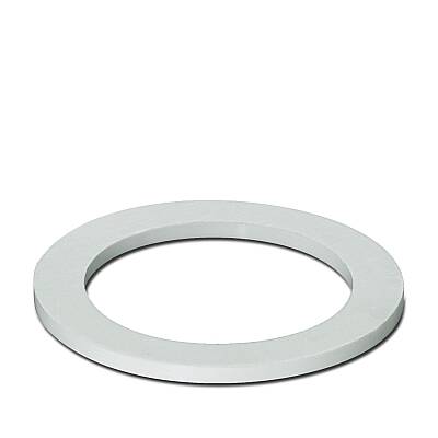 A-SEW-25-P-W - Düz conta - 1