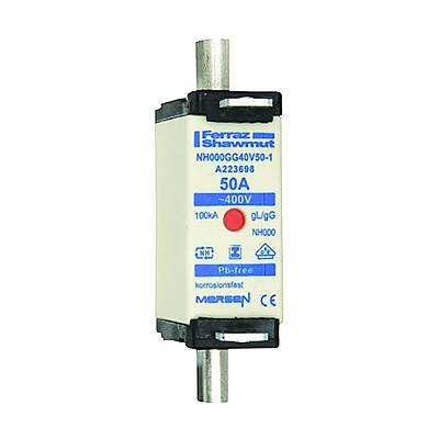 A223698 - NH000GG40V50-1 - 1