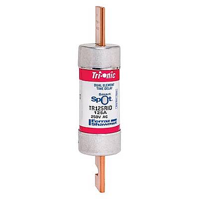 TR125RID - 1